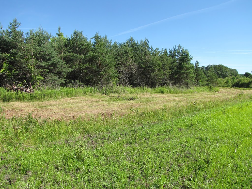 Evergreen Acres Landscape and Christmas Trees | 431 Inman Rd, Dunnville, ON N1A 2W5, Canada | Phone: (905) 981-9464