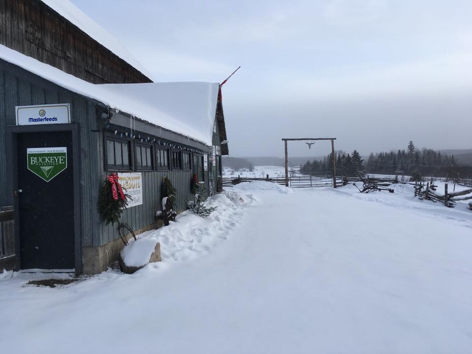 Dutch Harmony Ranch | 2958 ON-520, Burks Falls, ON P0A 1C0, Canada | Phone: (705) 349-0028