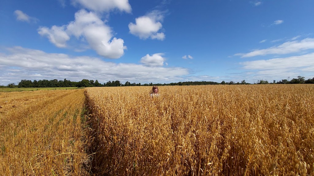 Edwards Farm Store | 1574 9 Line, Innisfil, ON L9S 3Z1, Canada | Phone: (705) 436-2749