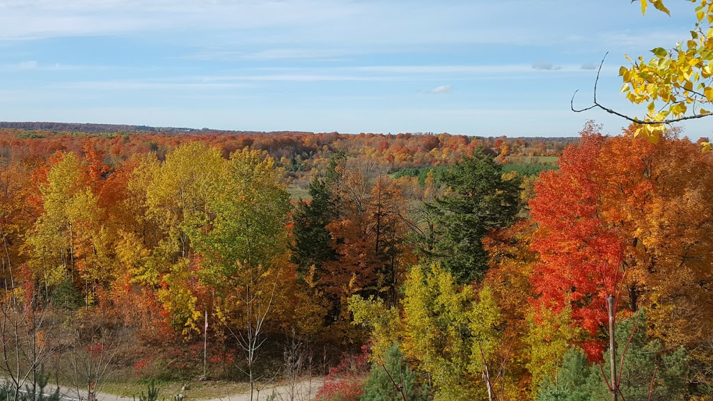 Serenity Rising | 6414 Line 3 North, Midland, ON L4R 4K3, Canada | Phone: (705) 305-9932