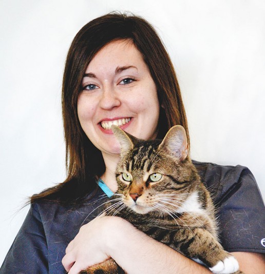 Clinique Vétérinaire Beauharnois | 485 Boulevard Cadieux, Beauharnois, QC J6N 0S7, Canada | Phone: (450) 289-1177