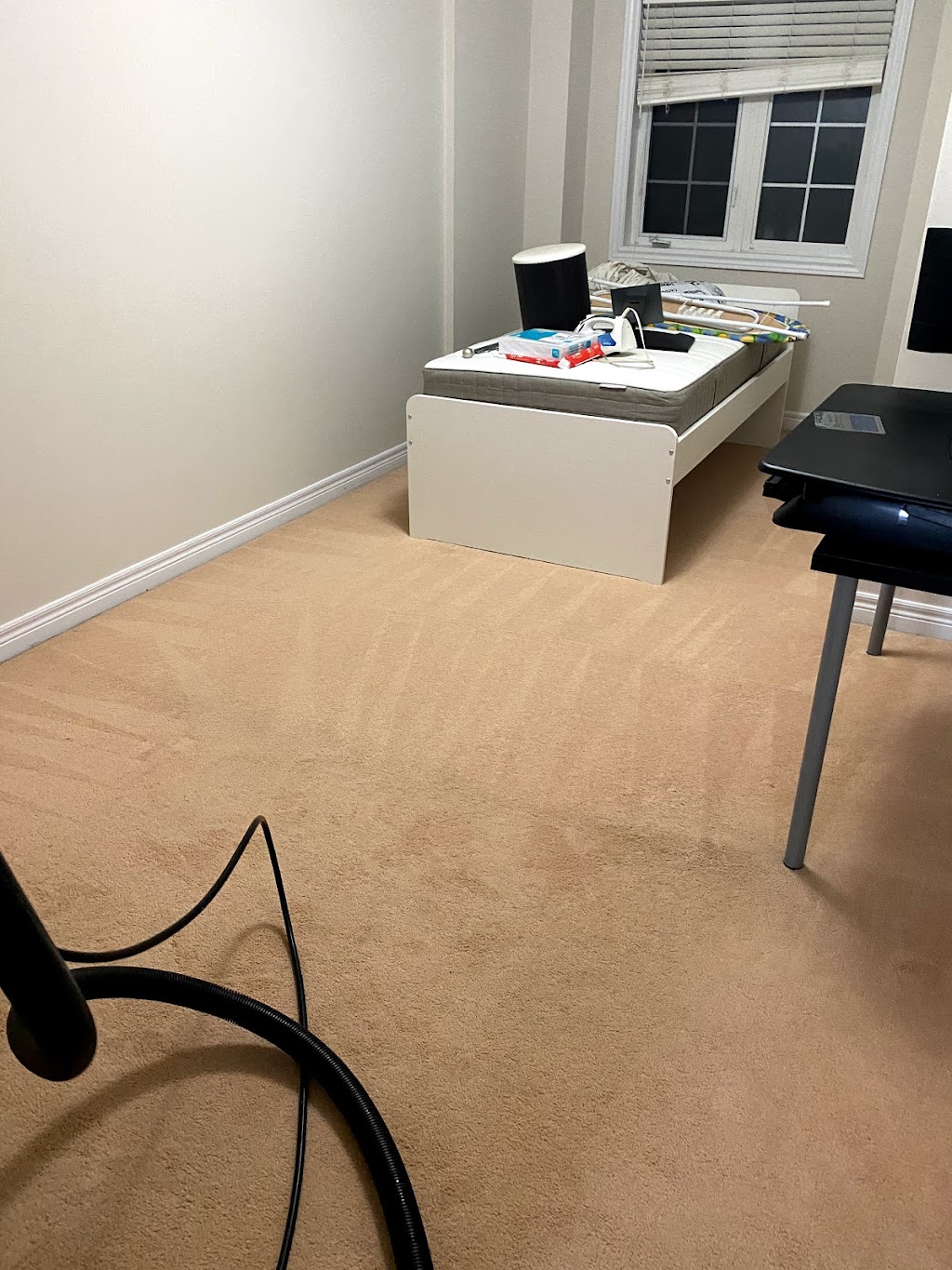 Orbit Carpet Cleaning | 23 Pape Dr, Brampton, ON L6R 0H7, Canada | Phone: (416) 417-2993