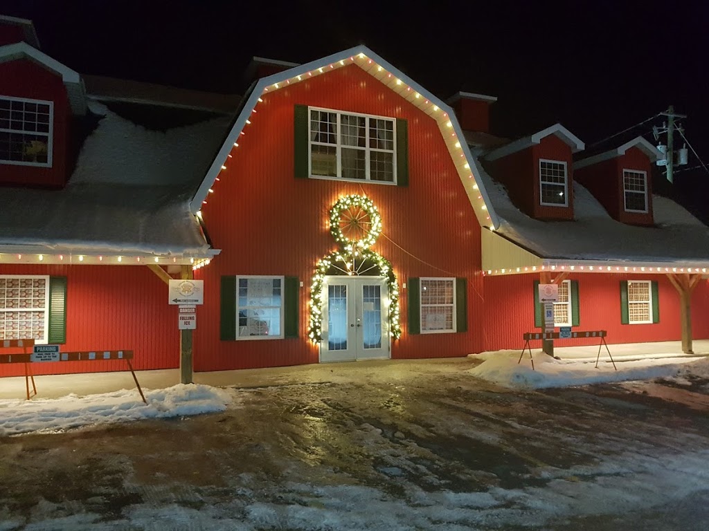 Christmas Lights Ottawa | 2709 Stevenage Dr, Ottawa, ON K1G 3N2, Canada | Phone: (613) 744-7336
