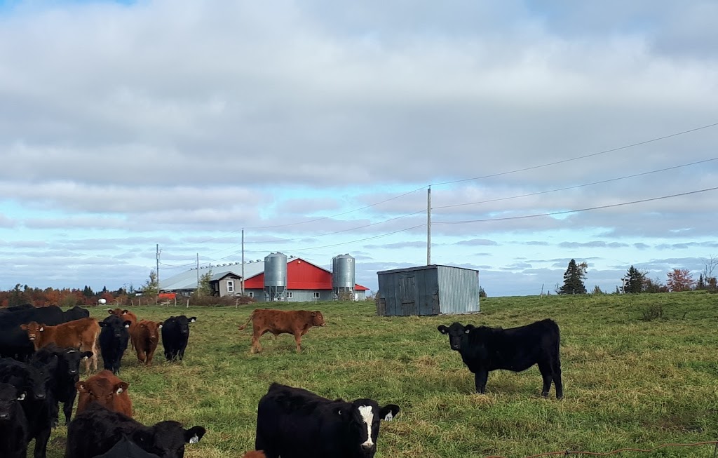 Ferme BCA SENC | 6531 6e Rang, Saint-Zacharie, QC G0M 2C0, Canada | Phone: (418) 593-7364