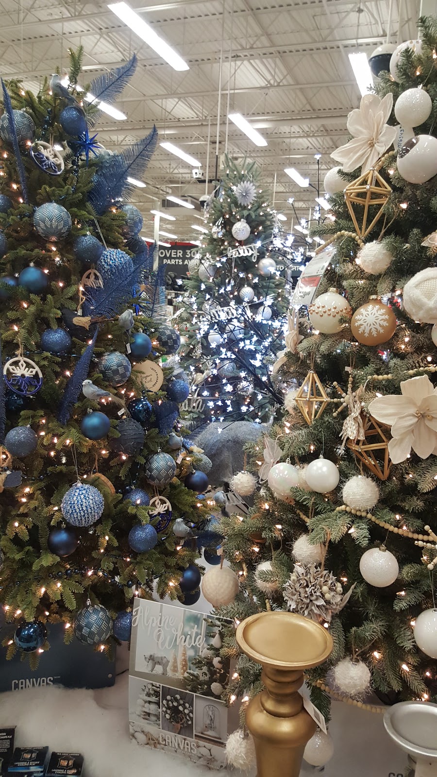 Canadian Tire | Westside Mall, 2360 Eglinton Ave W, York, ON M6M 1S6, Canada | Phone: (416) 636-7480