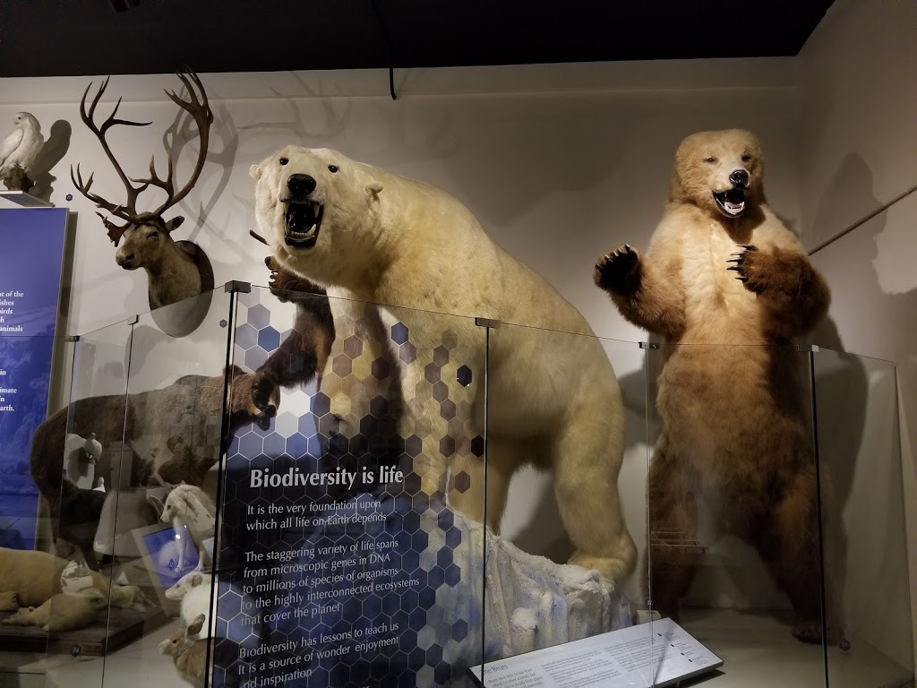 Buffalo Museum of Science | 1020 Humboldt Pkwy, Buffalo, NY 14211, USA | Phone: (716) 896-5200