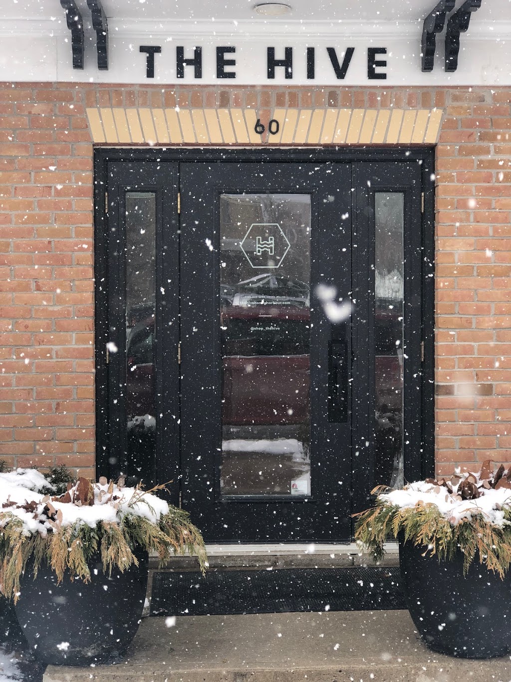 The Hive | 60 Pine St, Collingwood, ON L9Y 2N7, Canada | Phone: (705) 230-0488