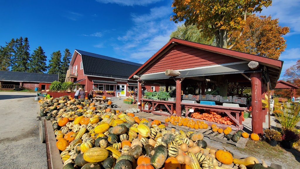 Hagerman Farms | 13644 Loyalist Pkwy, Picton, ON K0K 2T0, Canada | Phone: (613) 476-5362