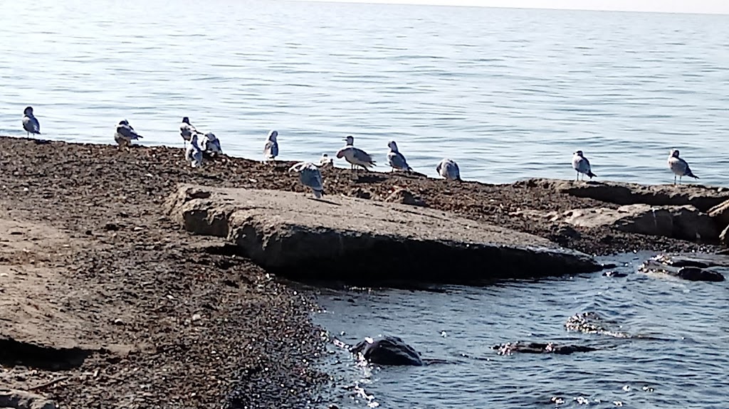 Public Access To Public Beach/shoreline | 5070-5098 Beach Dr, Hamburg, NY 14075, USA