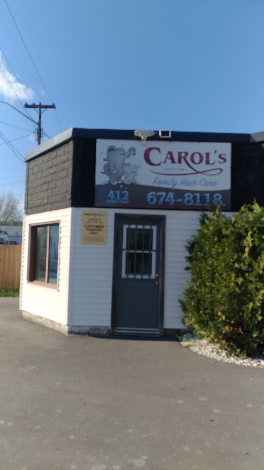 Carols Family Hair Care | 412 Frood Rd, Sudbury, ON P3C 5A1, Canada | Phone: (705) 674-8118