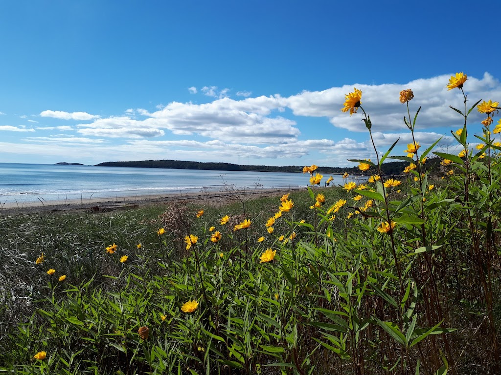 Bay Shore Beach | 599 Sea St, Saint John, NB E2M 2N5, Canada | Phone: (506) 633-9588