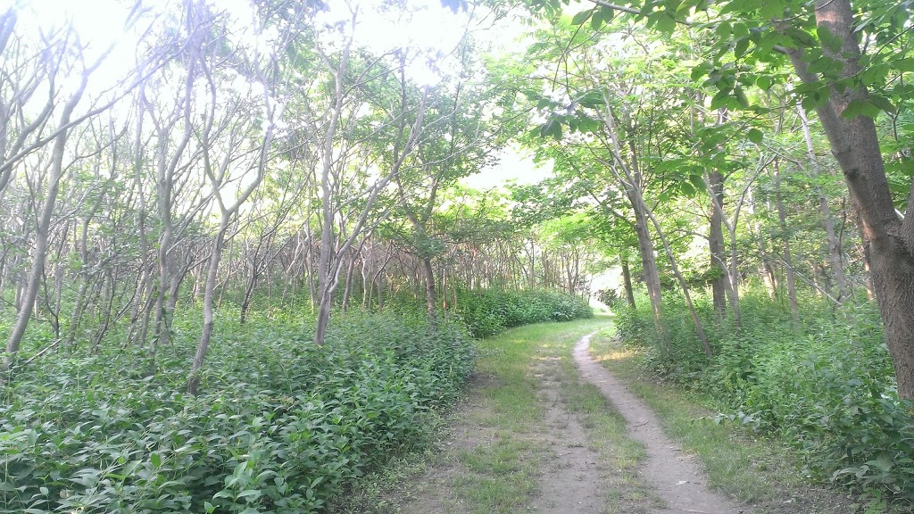 Sylvan Park - Gates Gully | 67 Sylvan Ave, Scarborough, ON M1M 1J9, Canada