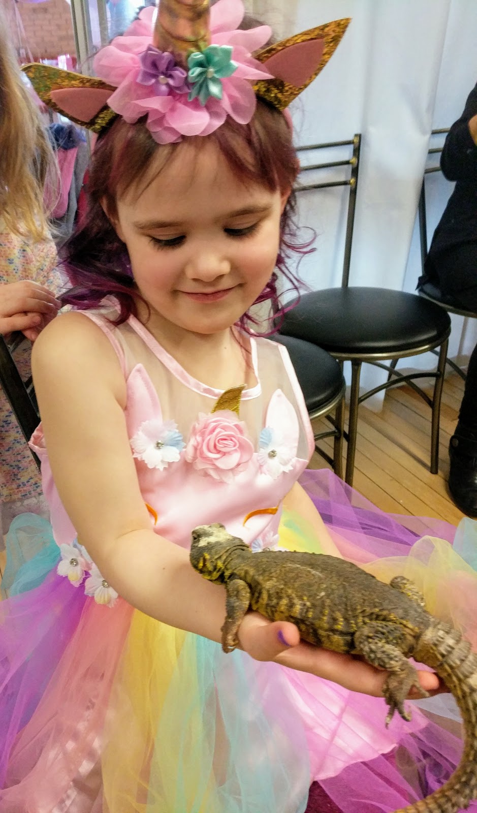 Pawleys Reptiles and Educational Shows | pet store | Sunnydale Pl, Waterloo, ON N2L 4S9, Canada | 2262206446 OR +1 226-220-6446