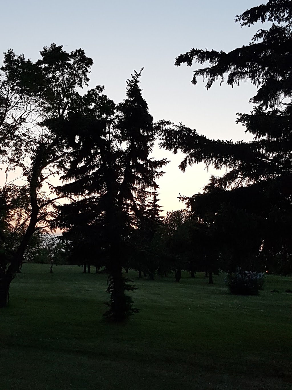 Castor Golf Club | Box 753, 4599 45 St, Castor, AB T0C 0X0, Canada | Phone: (403) 882-2112