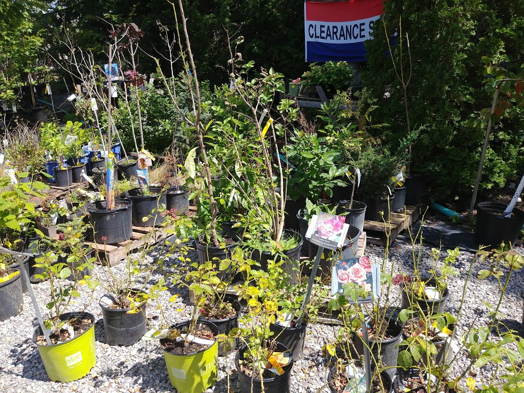 Baltimore Valley Nursery/Garden Centre | 5599 45, Baltimore, ON K0K 1C0, Canada | Phone: (905) 372-2662