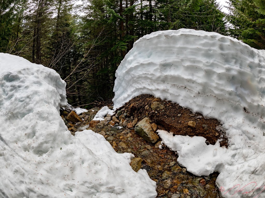 Skyline Ridge Trail | Unnamed Road, Britannia Beach, BC V0N 1J0, Canada