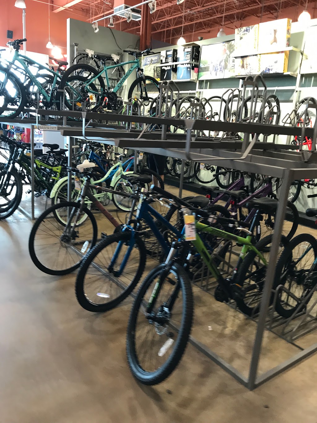 Sport Chek | 7850 Weston Rd Building B, Woodbridge, ON L4L 9N8, Canada | Phone: (905) 264-2848