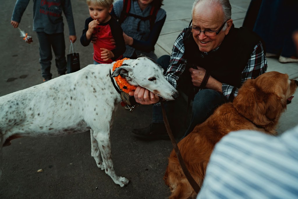 Sage Hill Animal Hospital | 65 Sage Hill Plaza NW #116, Calgary, AB T3R 0S4, Canada | Phone: (403) 567-8878