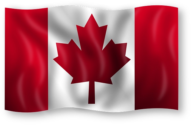 L.T.L. Tutoring Central | 242 Suffolk St W, Guelph, ON N1H 2J9, Canada | Phone: (519) 824-0982