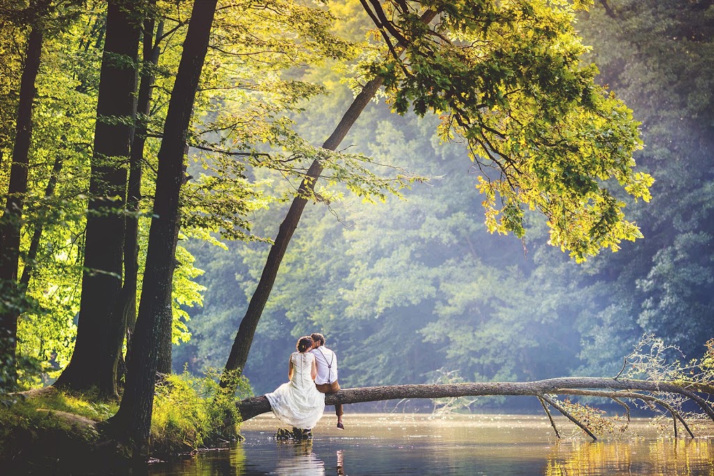 Muskoka Wedding Venues | 1547 Port Stanton Pkwy, Kilworthy, ON P0E 1G0, Canada | Phone: (800) 461-0243
