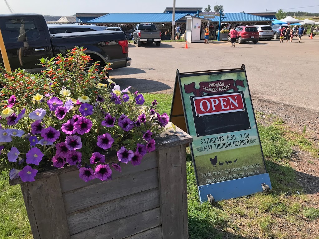 Pugwash Farmers Market | 10222 Durham St, Pugwash, NS B0K 1L0, Canada | Phone: (902) 397-2845