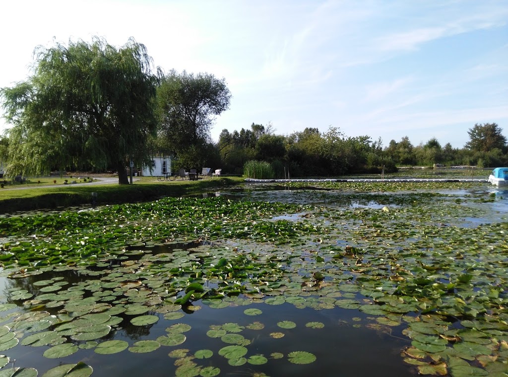 Sunrise Tourist Trailer Park | 5241 Rice Lake Dr N, Bewdley, ON K0L 1E0, Canada | Phone: (905) 797-2456