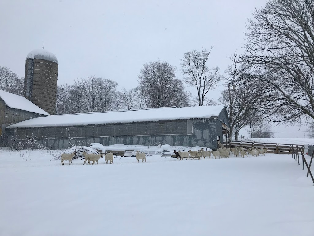 Farm on The Lake | 170404 Centre Rd, Georgian Bluffs, ON N0H 2T0, Canada | Phone: (519) 534-3545