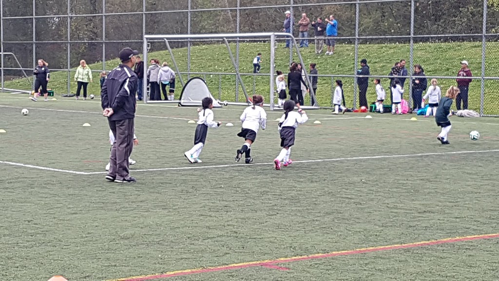 Mackie Turf | 10900 82 Ave, Delta, BC V4C 2B3, Canada | Phone: (604) 946-3293