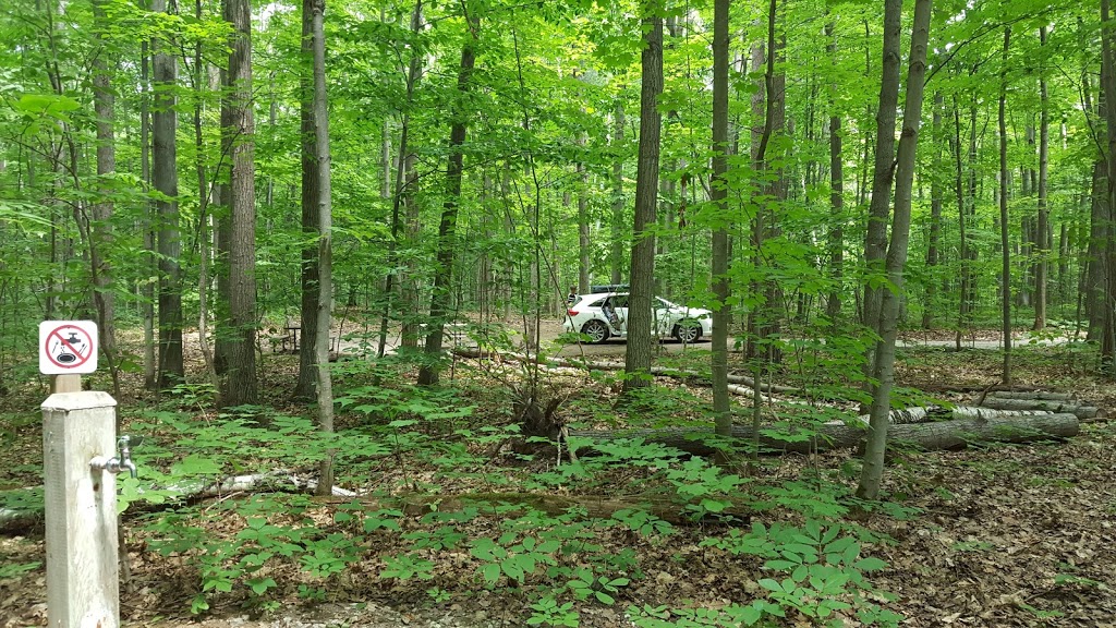 Hawk Campground | Tiny, ON L9M 1R2, Canada | Phone: (800) 668-2746