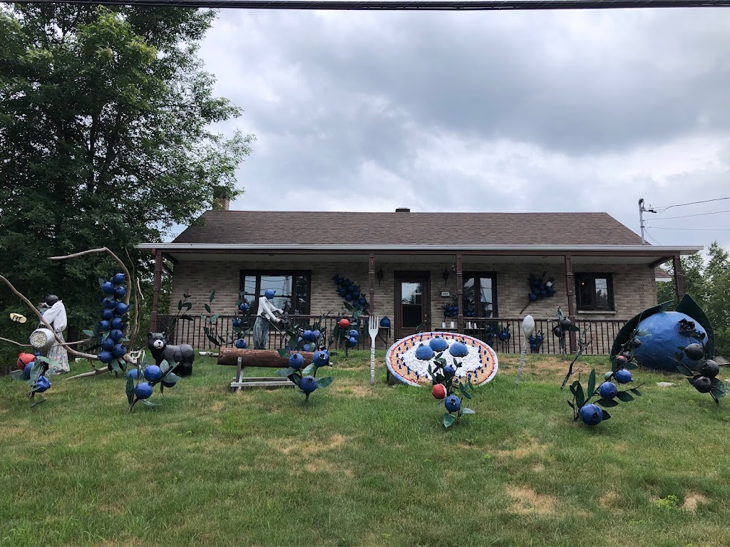 Tartes aux bleuets Jacinthe Ouellet | 466 QC-169, Dolbeau-Mistassini, QC G8L 5N2, Canada | Phone: (418) 276-5735