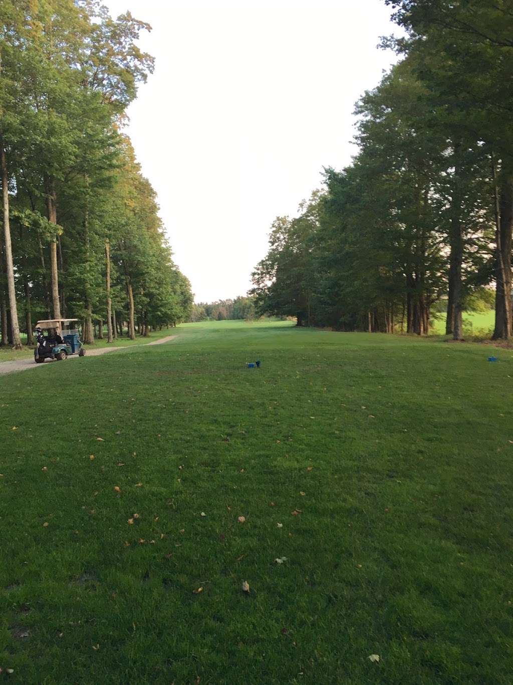 Walkerton Golf and Curling Club | 164 Bruce County Rd 2 RR 4, Walkerton, ON N0G 2V0, Canada | Phone: (519) 881-0709