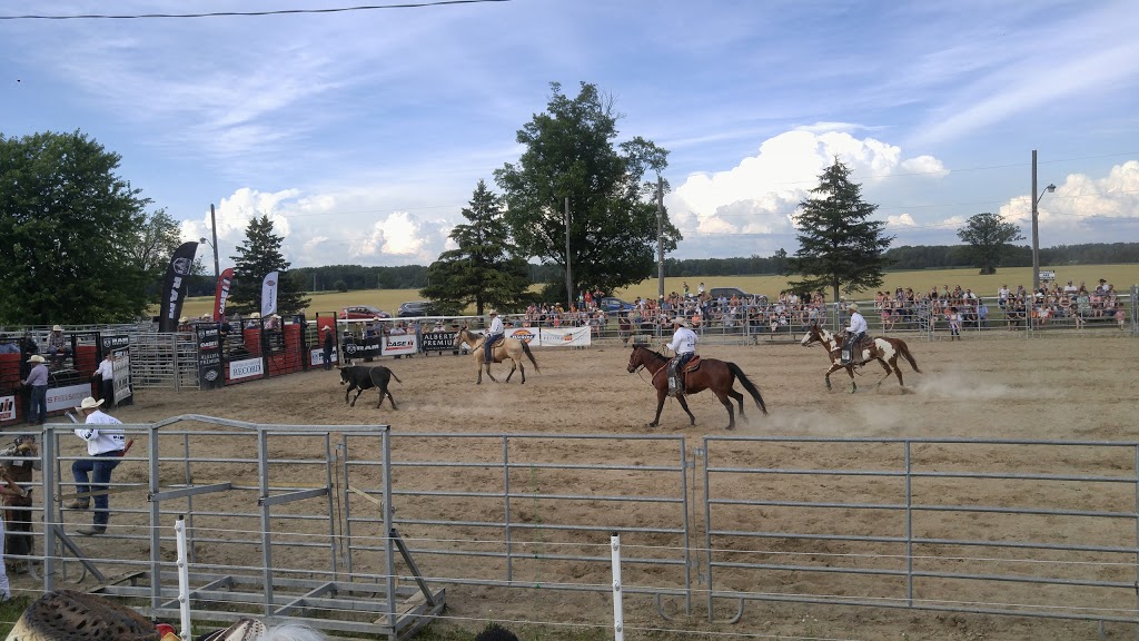 Calhoun Stables | 1590 Durant Rd, Breslau, ON N0B 1M0, Canada | Phone: (519) 664-0636