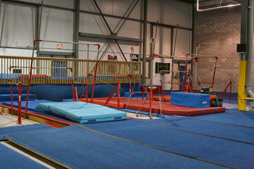 Head Over Heels Gymnastics Club | 95 Sandford Fleming Dr, Collingwood, ON L9Y 5A6, Canada | Phone: (705) 445-5554
