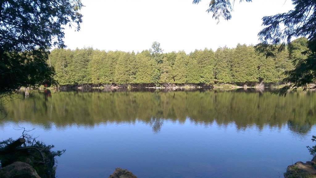 Amazing Rocky Park Campground | 423059 Rocky Saugeen Rd, Durham, ON N0G 1R0, Canada | Phone: (519) 369-6450
