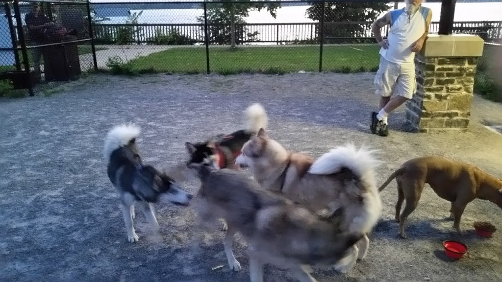 Dog Park | Buffalo, NY 14207, USA