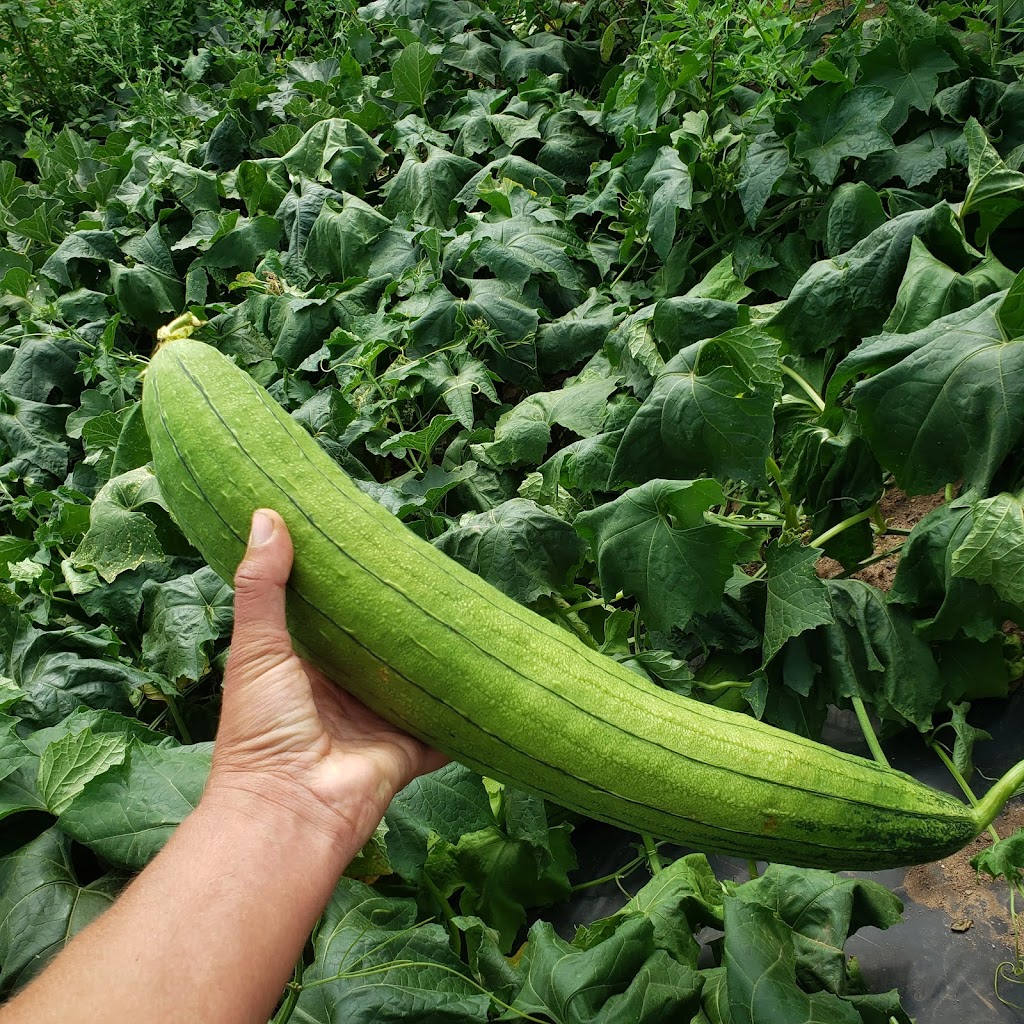 DeLong Farms | 312 Barss Corner Rd, New Germany, NS B0R 1E0, Canada | Phone: (800) 565-1230
