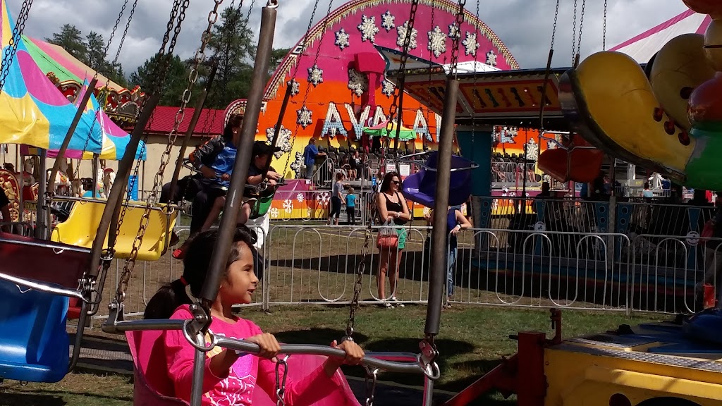 Massey Fair | 599 Imperial St N, Massey, ON P0P 1P0, Canada | Phone: (705) 865-2070