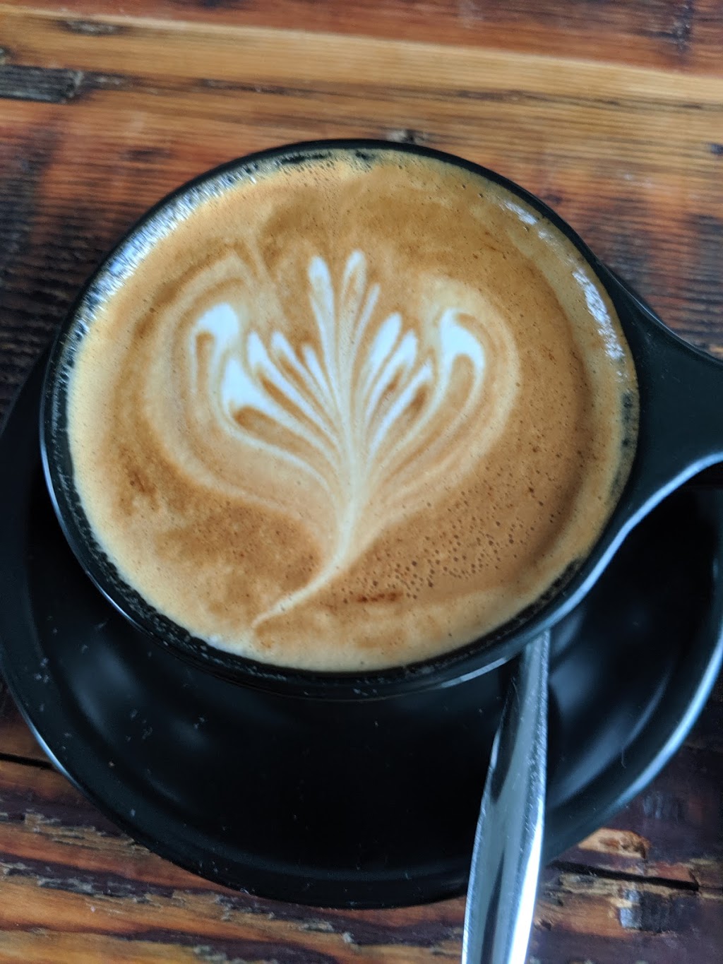 Darkstar Coffee Roasters | 179 Water St W, Carbonear, NL A1Y 1B1, Canada | Phone: (709) 596-2234