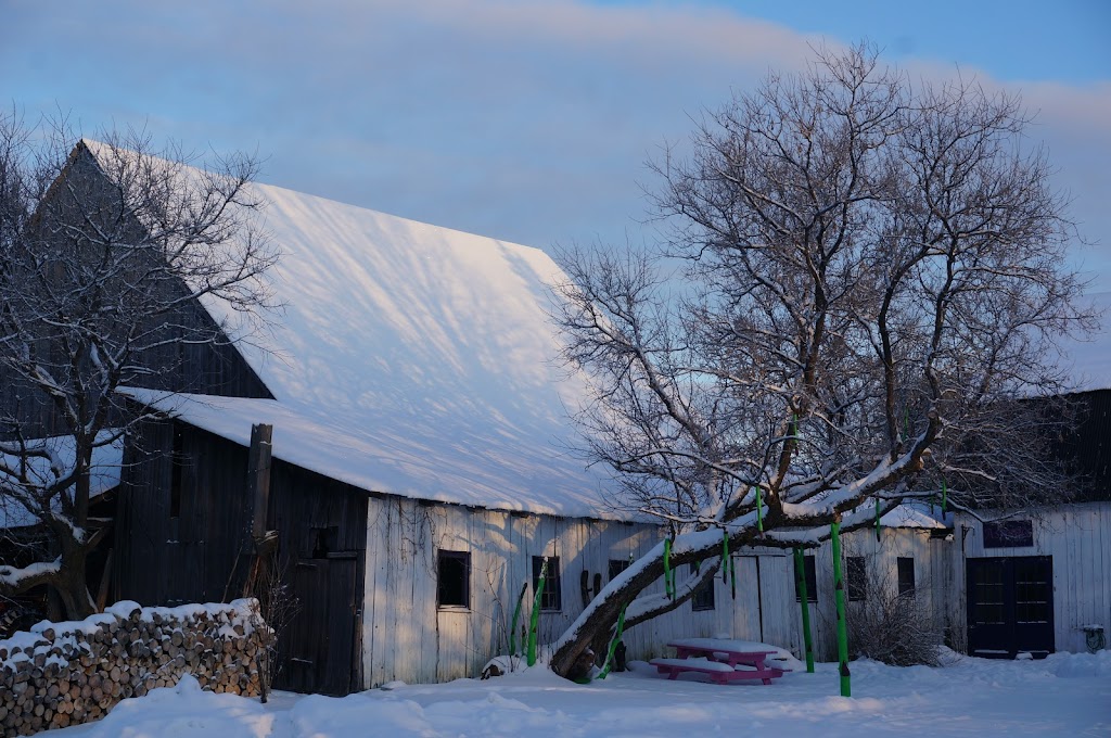 Ferme Agricola Farm | 502 QC-323, Papineauville, QC J0V 1R0, Canada | Phone: (819) 998-7498