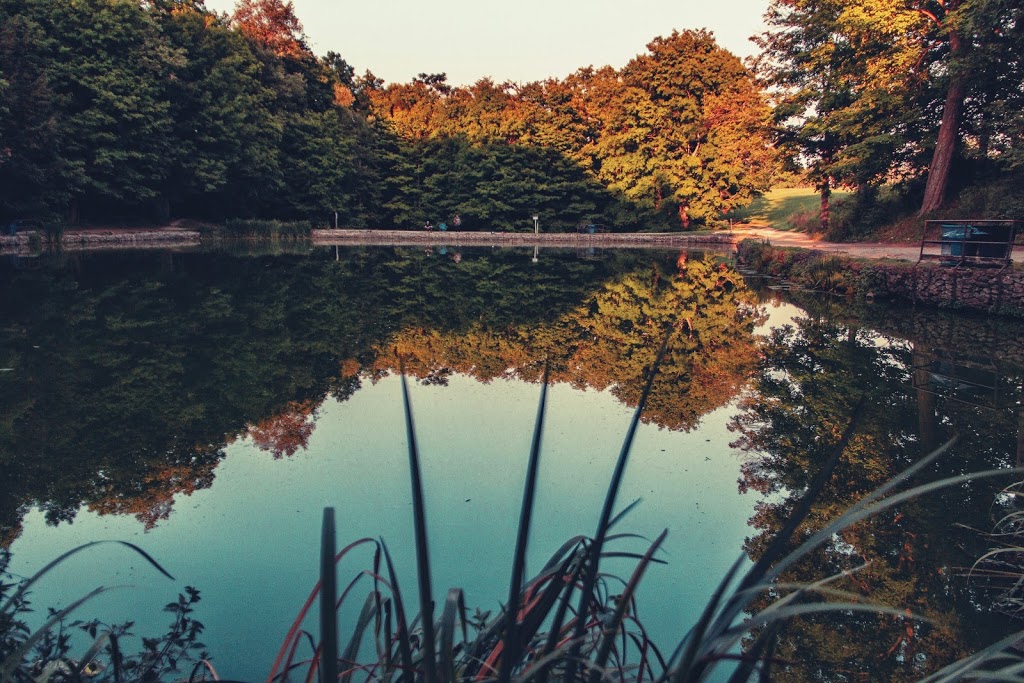 Glen Haffy Conservation Park | 19245 Airport Rd, Caledon East, ON L7K 2M9, Canada | Phone: (905) 584-2922