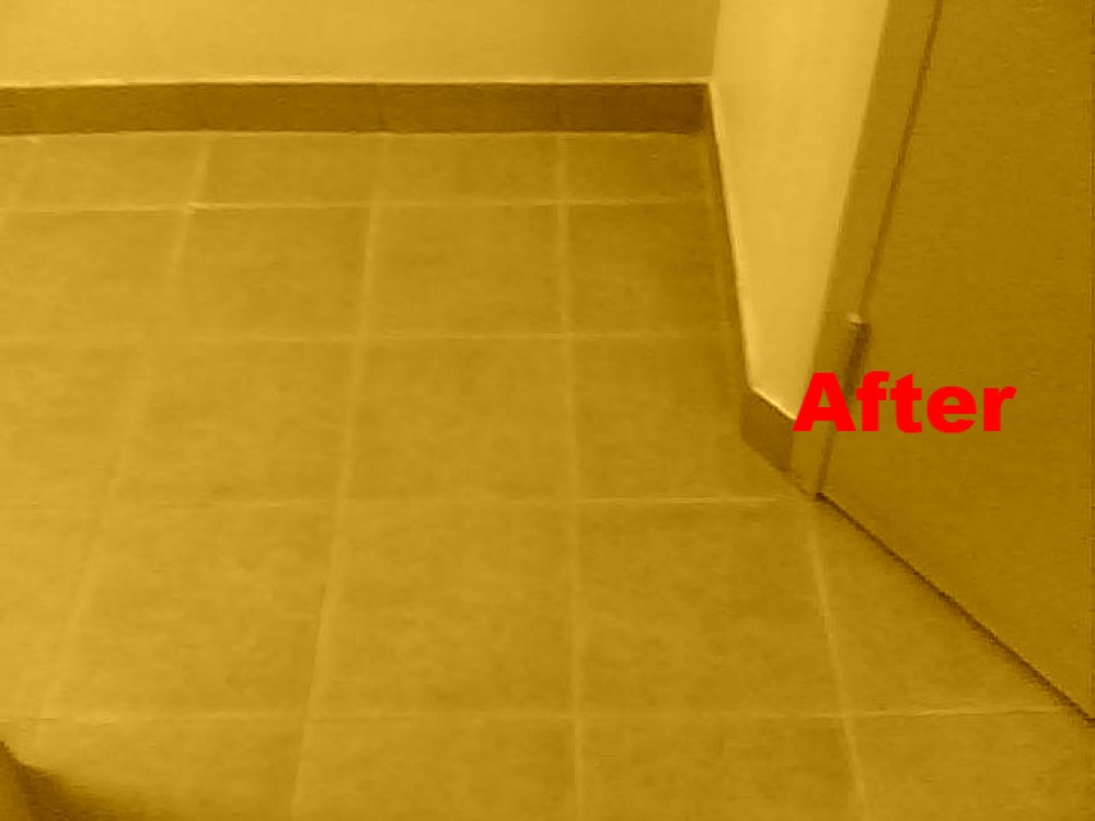 Task-co Building Maintenance | 95 Wellington Ave W, Oshawa, ON L1H 3X8, Canada | Phone: (905) 240-4412