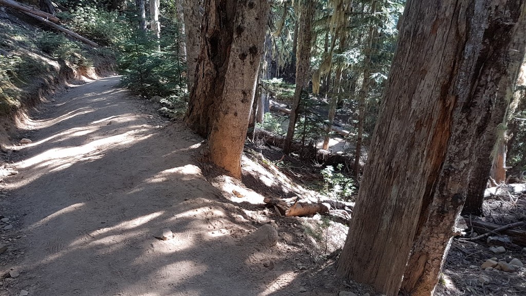 Black Tusk Trailhead | 0A0, Daisy Lake Rd, Whistler, BC V0N 0A0, Canada
