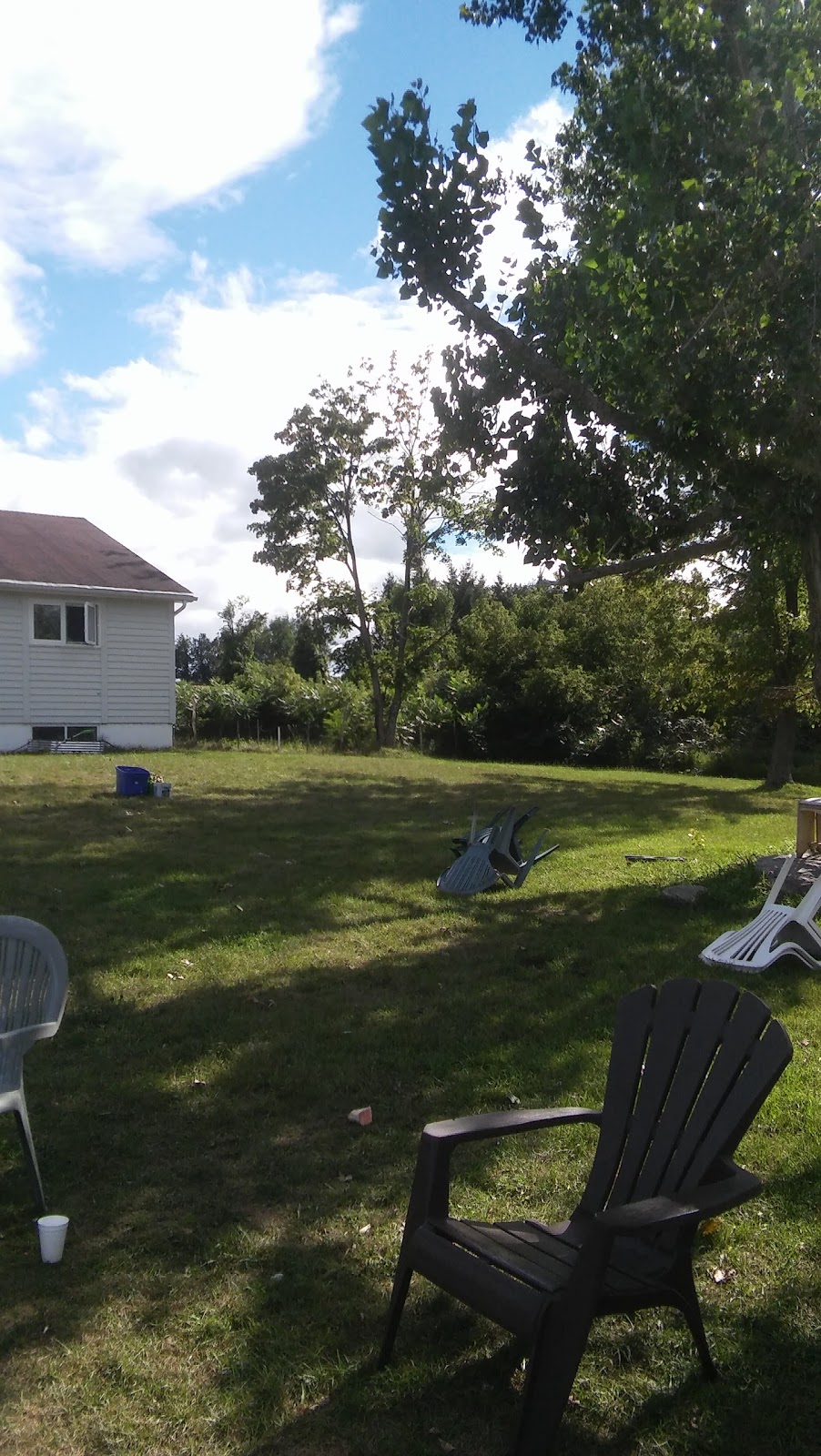 Blue Hills Academy | Concession Rd 2, Adjala-Tosorontio, ON L0M 1J0, Canada | Phone: (905) 773-4323
