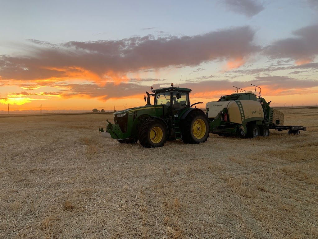 SunShine Custom Farming LTD. | 231079, Township Rd 104, Nobleford, AB T0L 1S0, Canada | Phone: (403) 715-4281