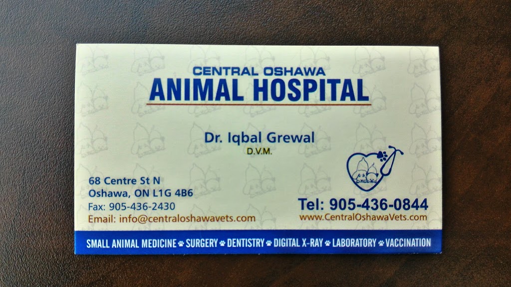 Central Oshawa Animal Hospital | 68 Centre St N, Oshawa, ON L1G 4B6, Canada | Phone: (905) 436-0844