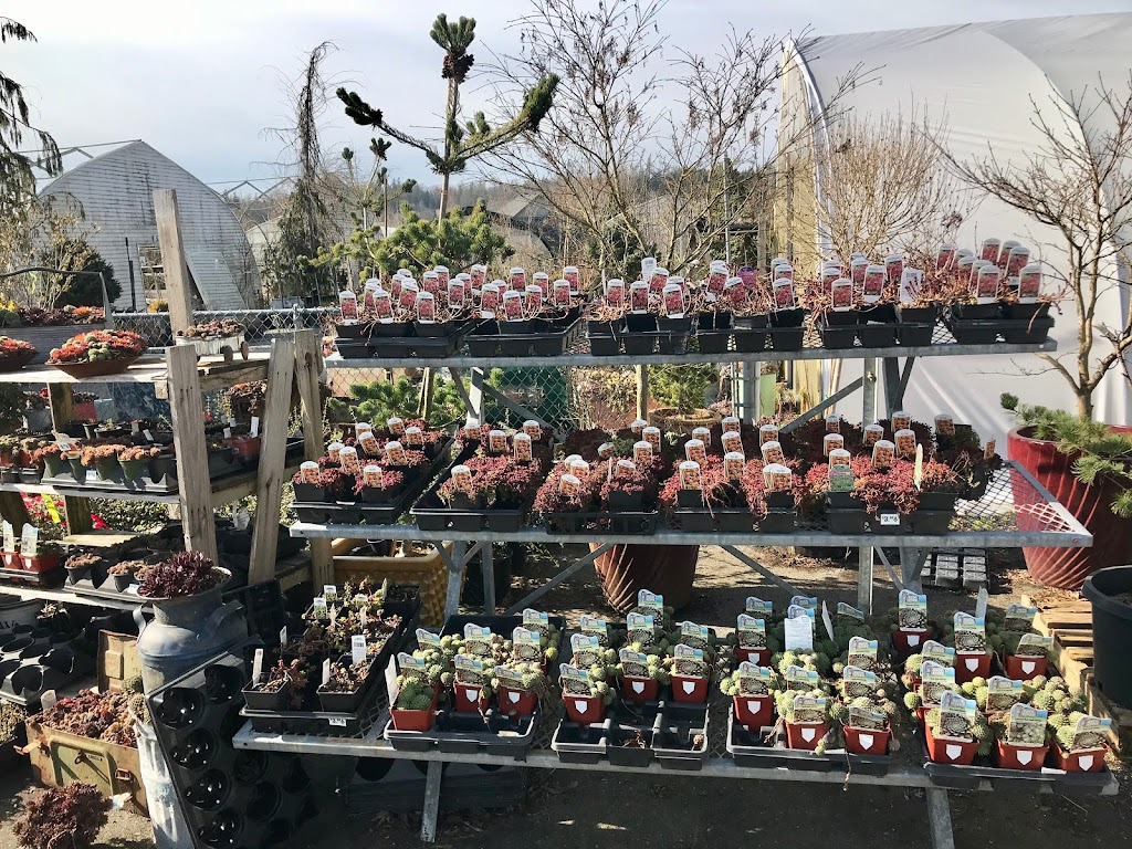 Aarts Nursery Ltd | 7200 216 St, Langley, BC V2Y 2S3, Canada | Phone: (604) 888-3555