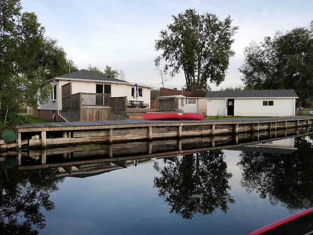 Happy Water | 12 Island Dr, Willow Beach, ON L0E 1S0, Canada | Phone: (647) 675-5919
