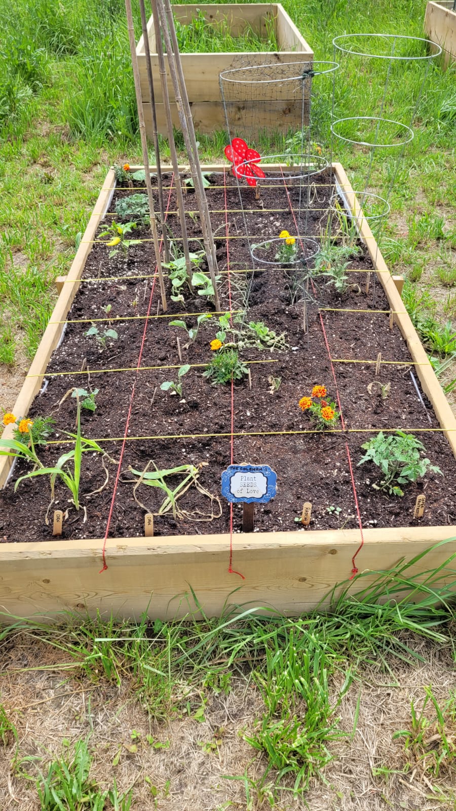 Community Roots Garden | 44825 Wolfe Rd, Chilliwack, BC V2P 8A8, Canada | Phone: (604) 701-4944