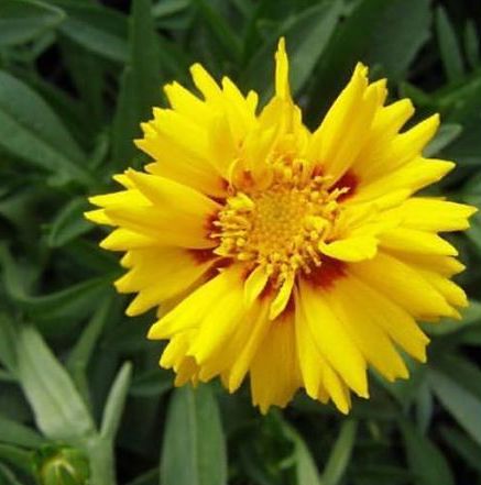 Berkies Bloomers | 4380 Wellington Rd S, London, ON N6E 3A2, Canada | Phone: (226) 984-1722