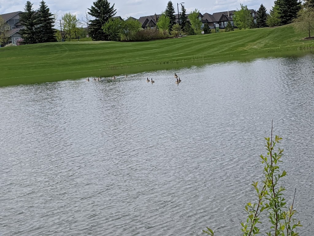 Jagare Ridge Golf Club | 14931 9 Avenue Southwest, Edmonton, AB T6W 1A4, Canada | Phone: (780) 432-4030